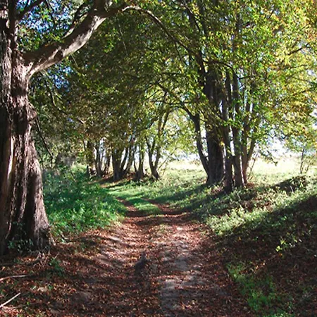 Ferienhaushaelfte An Der Mueritz Rechlin